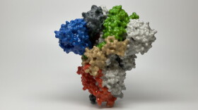 A 3D model of a spike protein on the surface of 2019-nCoV, the virus that causes COVID-19. Spike proteins cover the surface of the virus and enable it to enter and infect human cells. 