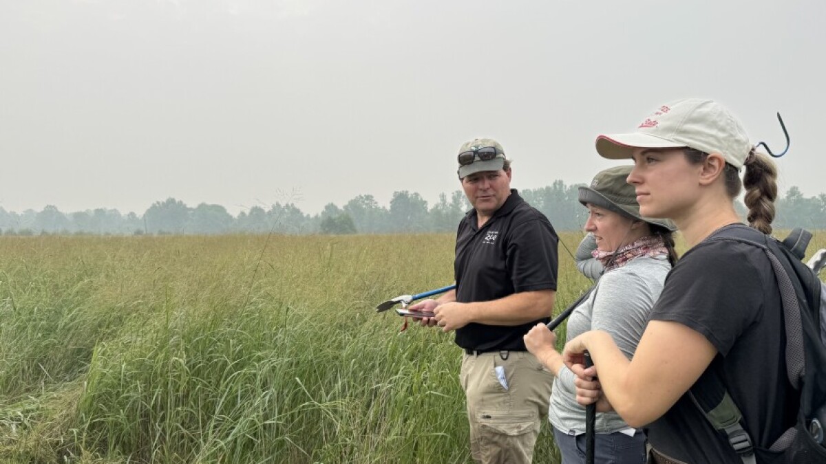 Going on a snake hunt: Ohio conservationists work to restore native rattlesnake population