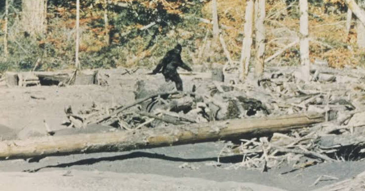 Capturing Bigfoot onscreen in Livingston and Missoula