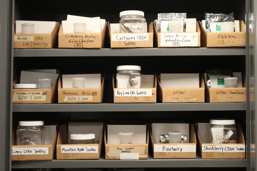 A closet of different types of hemp seeds harvested by Oregon CBD Seeds in Independence.