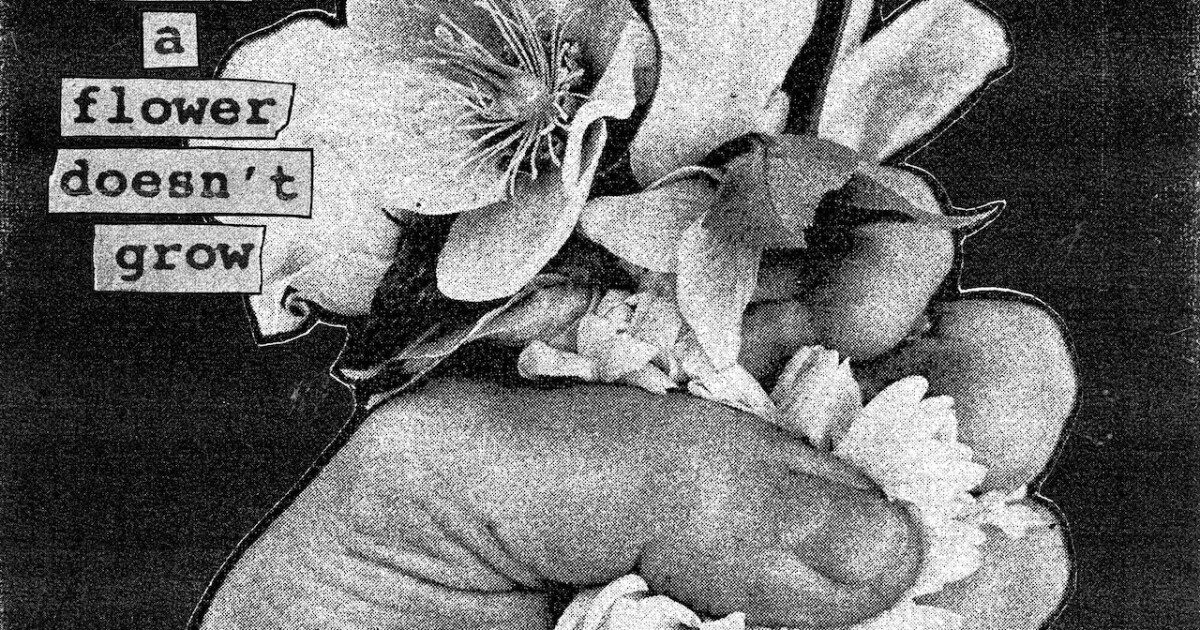 Softcult: ‘When a Flower Doesn’t Grow’ review — time to get angry