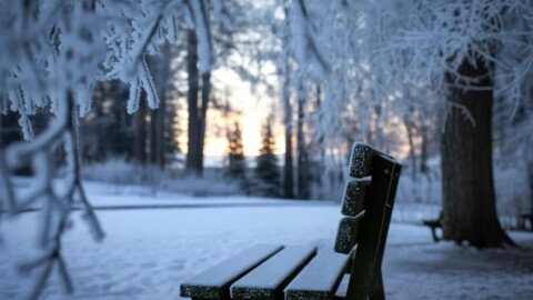 Winters are cold in Albuquerque, with temperatures regularly dropping below freezing overnight. This is an especially dangerous season for folks without a home or shelter.