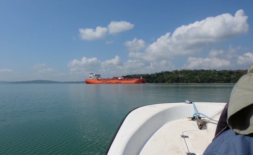 Situated beside one of the most heavily trafficked canals, Barro Colorado Island has constant boat traffic with massive cargo ships passing by.