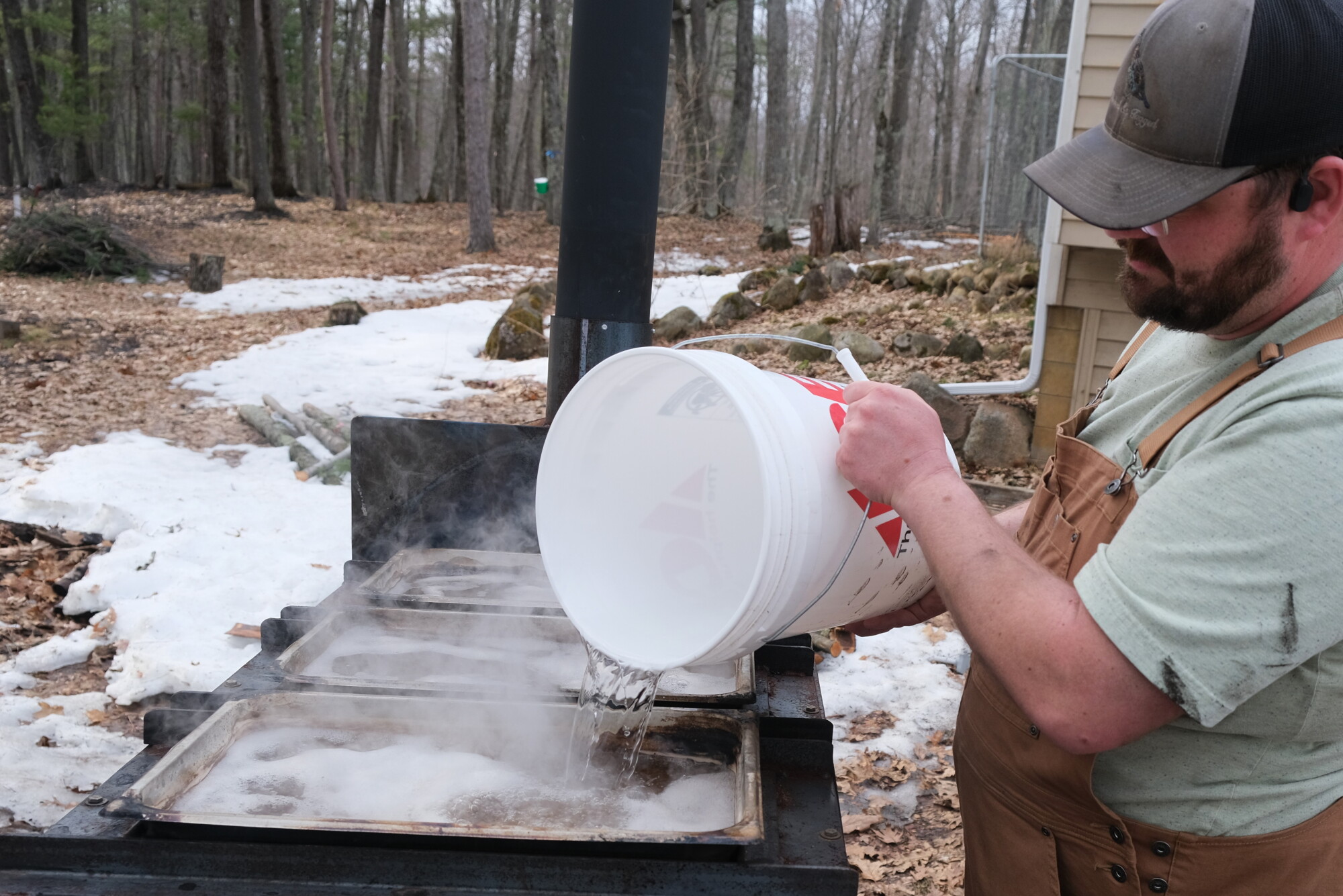 All Things Outdoors: Forestry & making maple syrup episode artwork