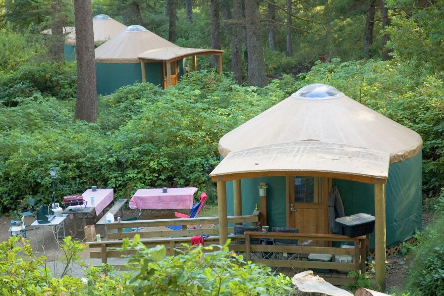 Several camping yurts tucked into a forested setting. 