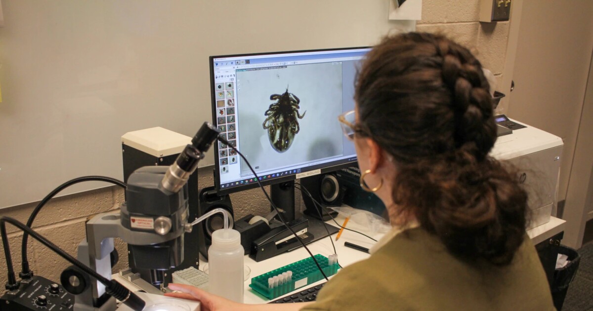 Tick populations are exploding in Ohio. OSU is helping track the disease risk