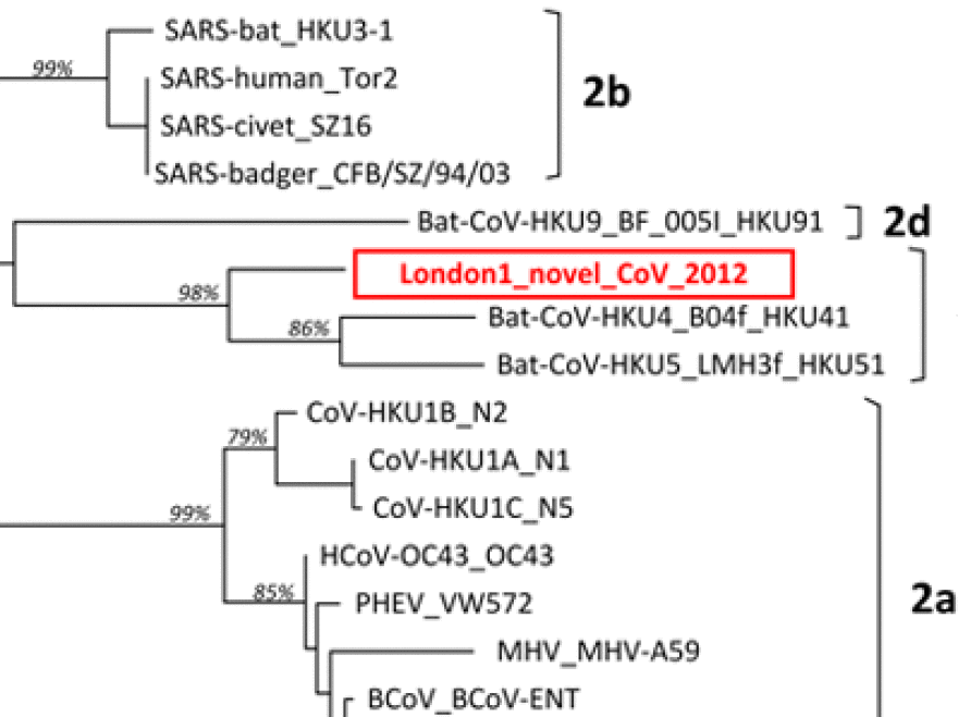 The new coronavirus has been tentatively named London1_novel CoV 2012. A small piece of its genome tells researchers how closely related the virus is to other known coronavirus, such as SARS.