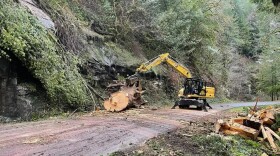 Heavy equipment operators, like the one seen in this undated BLM file photo, are among the types of jobs the bureau is looking to hire to accommodate an increase in timber production around the state.
