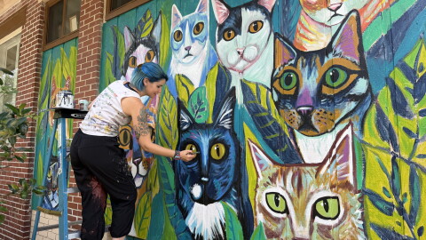 Local artist Samm Wehman paints a mural outside Operation Catnip. (Genesis Trujillo/WUFT News)