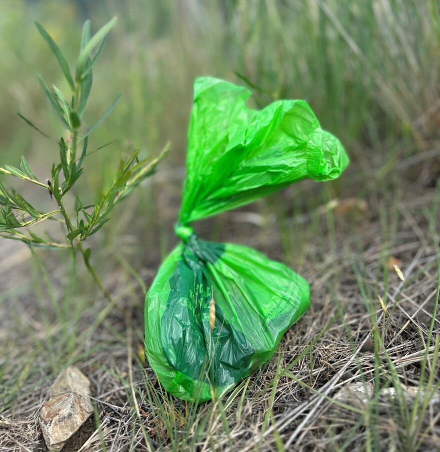  A green dog poop bag on the ground.