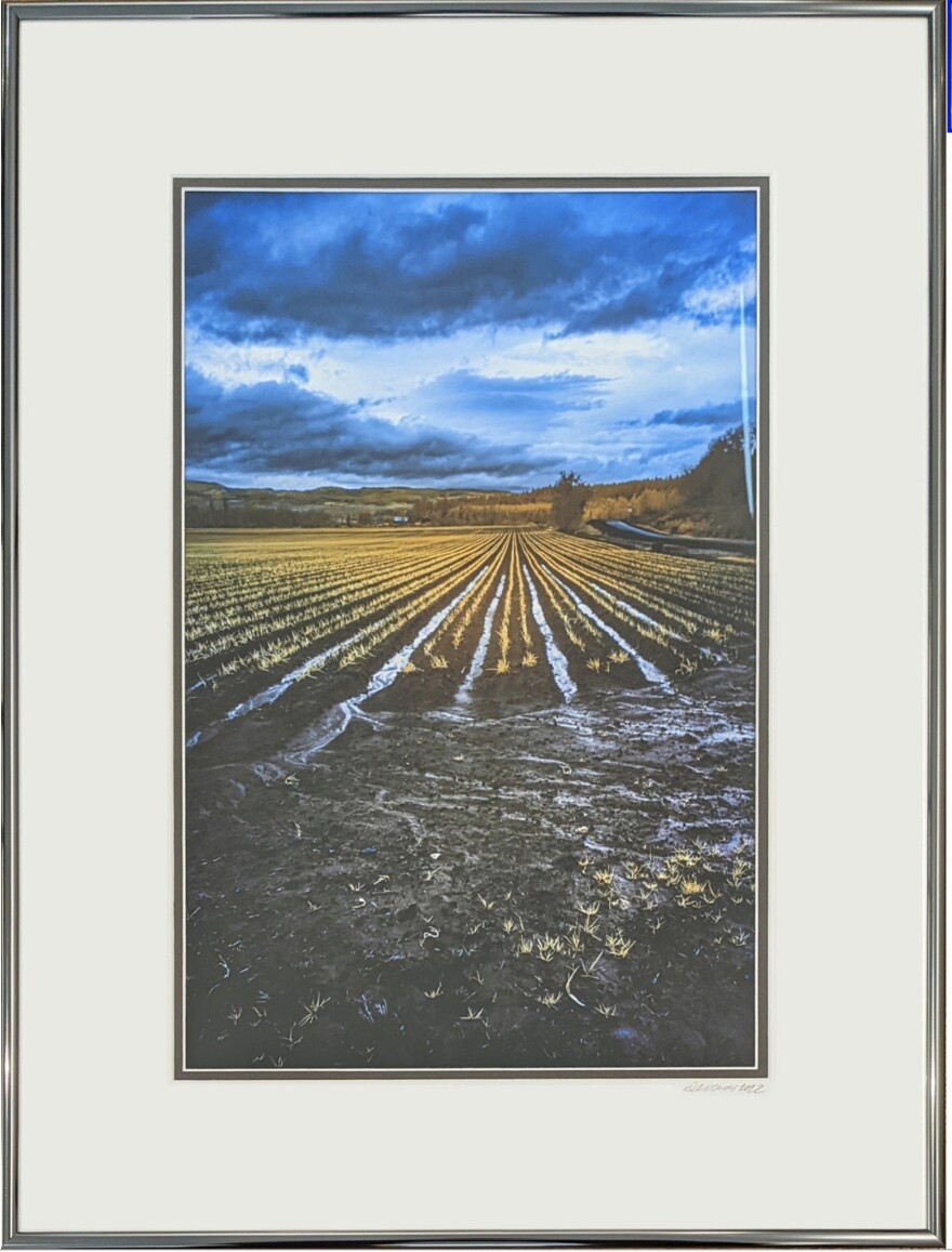 Linda Devenow, "Near Monmouth," Archival Pigment Ink from infrared camera Size: 18x24in framed