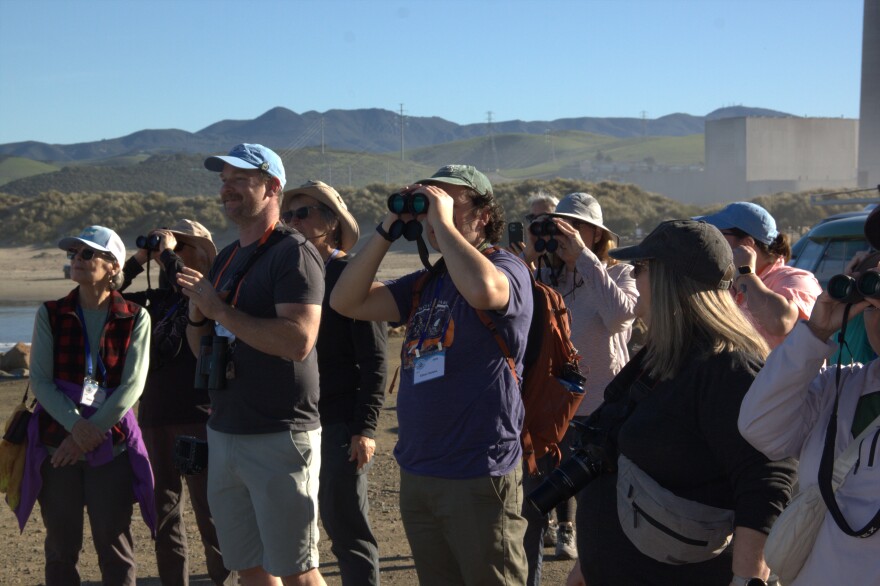 Birders from across California came to the Central Coast this week to enjoy the coastal scenery and spot rare, migrating species.