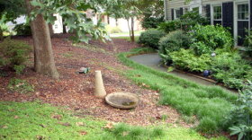After 2007 drought, homeowner Connie Harris decided to plant her yard in hardy native and other plants that require less water