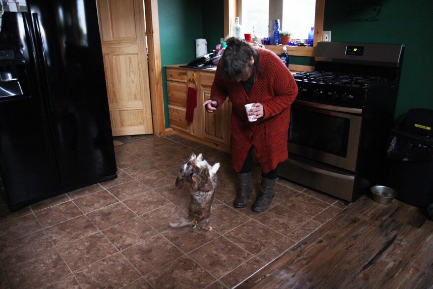 A person stands in front of a small dog standing on its hind legs.