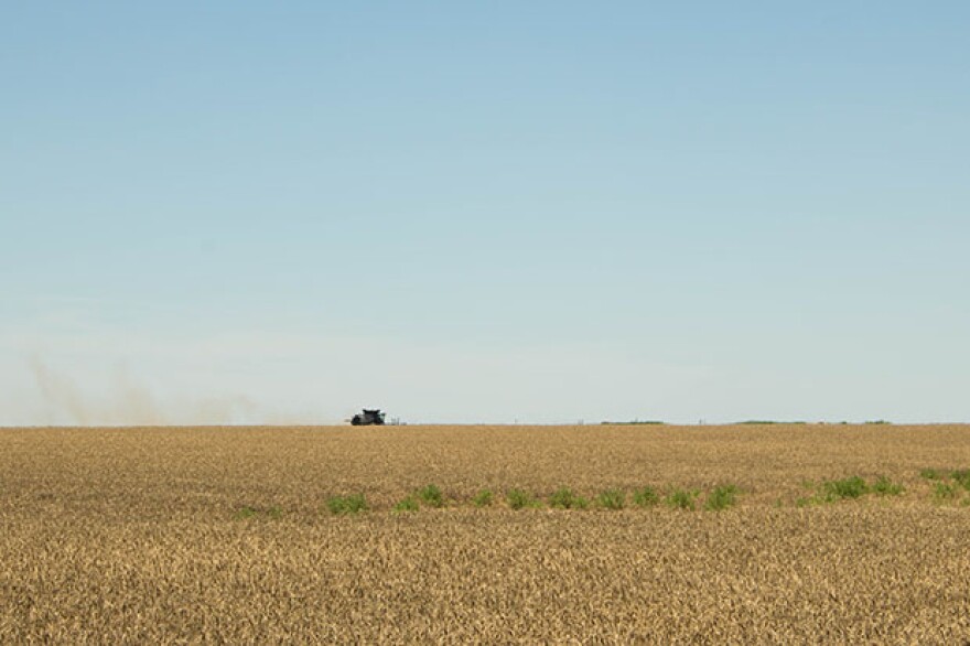 A combine harvesting a wheat field south of Altus, Okla.