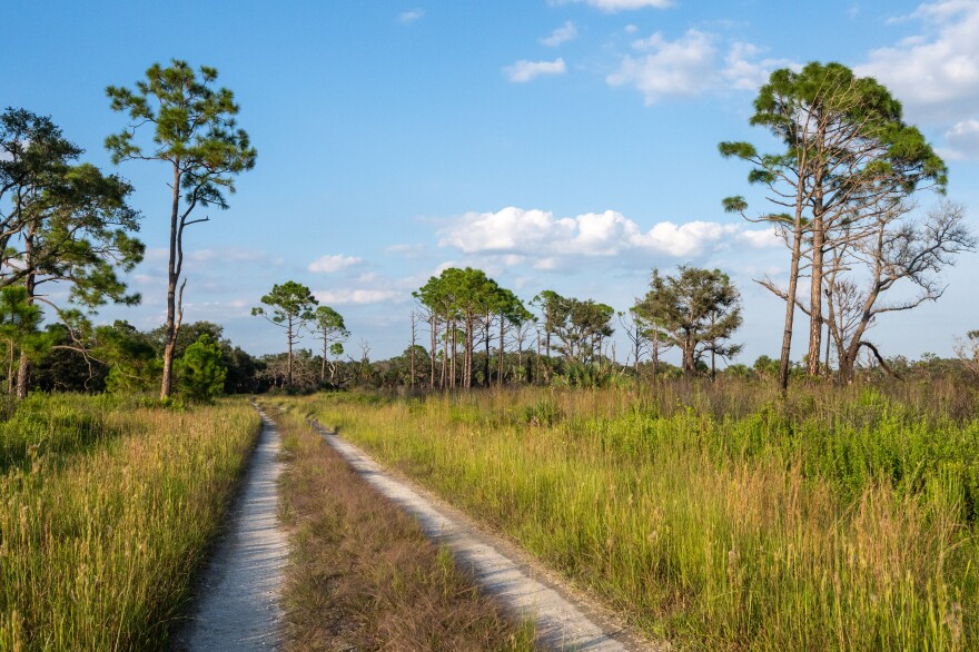 A dirt road through a state park with grass and trees on either side