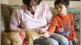 Beth Turmero checks her son Aiden's blood sugar as his labrador retriever puppy Piper smells the boy's fingers at the family's Madisonville home Thursday. Piper is a diabetic alert dog and she uses scent recognition to warn Turmero when Aiden's blood suga