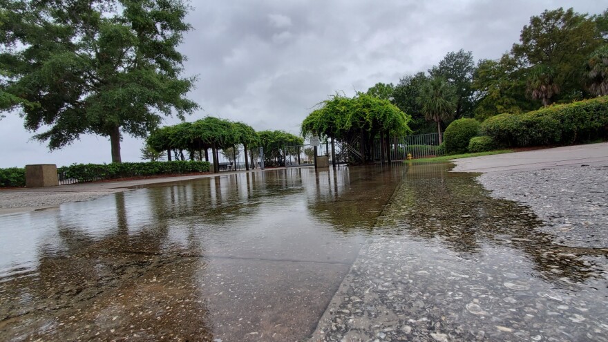 Standing water in Metropolitan Park