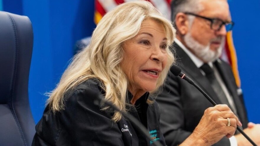 woman with blonde hair speaks into a microphone