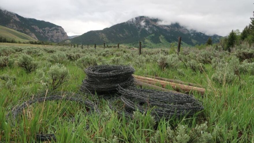 A couple rolls of barbed wire sit in grass. Unfenced fence posts stretch into the distance.