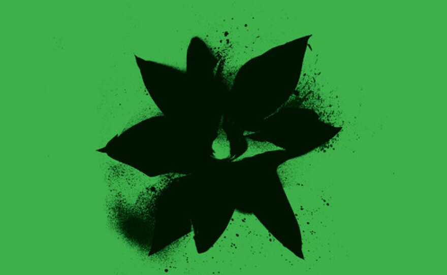 Rock and Roots Vinyl Giveaway - Spring Fund Drive