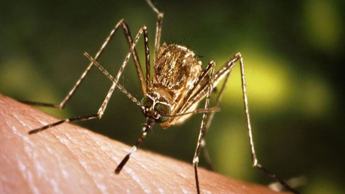 Michigan confirms first human case of EEE since 2021