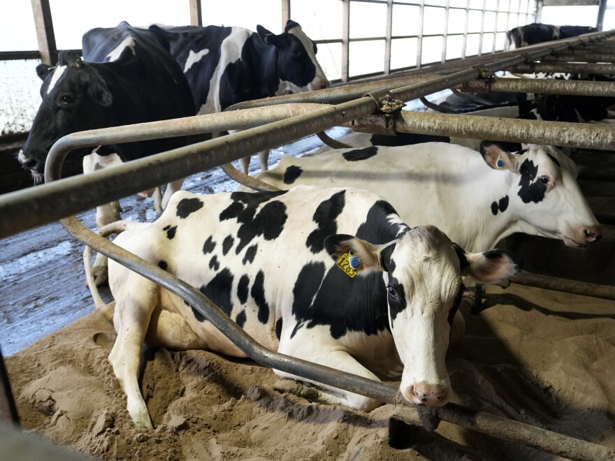 What to know about the risks of the bird flu outbreak