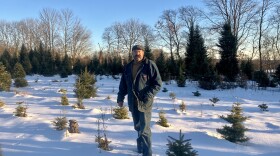 Matt Quinn walks the fields of his Christmas tree farm in Cornville.