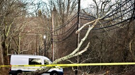 Overnight wind and rain left a downed tree across power lines this morning knocking out power to homes in Mansfield, Connecticut March 17th 2026.