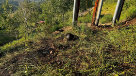 The 40 foot by 40 foot fire burned grass below Payday lift July 28, 2024.