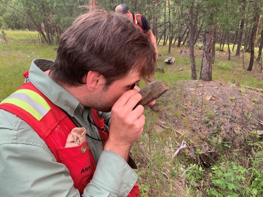 Big Rock Exploration geologist Alex Steiner examines a mineral specimen. His company is looking for signs of lithium in the Black Hills.