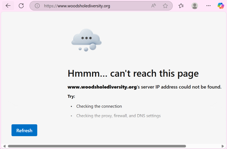 Screenshot of what it looks like when a user tries to access the Woods Hole Diversity Initiative website