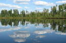 Clouds in the blue sky and trees reflect on water