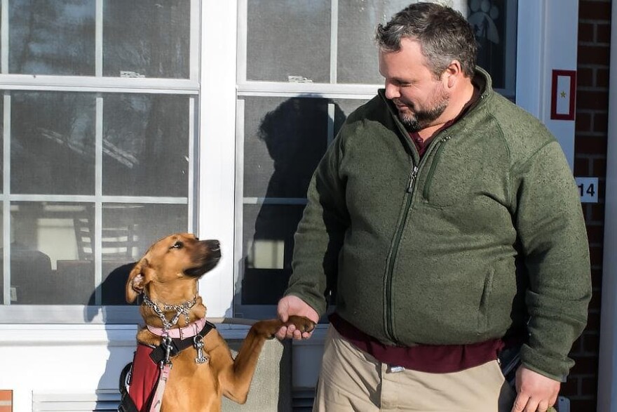 Army veteran Russel Keyser shakes hands with his dog, Artemis, outside of his Ronkonkoma, NY home. Keyser says the dog helps him deal with the effects of PTSD. (Paige Pfleger/American Homefront Project)