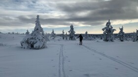 Snow in Finland