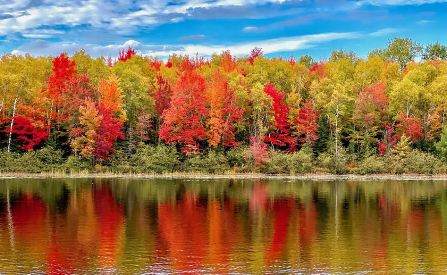 "Or, maybe you need a boat so you can visit the northern shore of Fifth Lake on the Moen Lake Chain."
