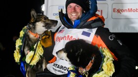 An Iditarod musher poses with two dogs wearing yellow flowers.