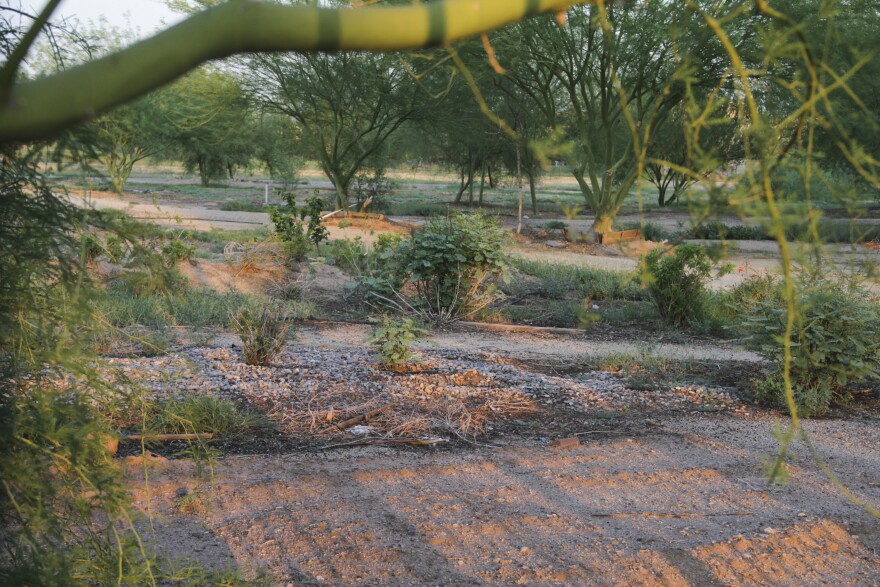 vacant community garden land