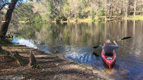 Jim Wood, 67, kayaks on the Santa Fe River on February 1. He said that, much like a sales tax, his business will have to raise his rates over time if registration of non-motorized boats becomes a requirement. (Mercedes/WUFT News)