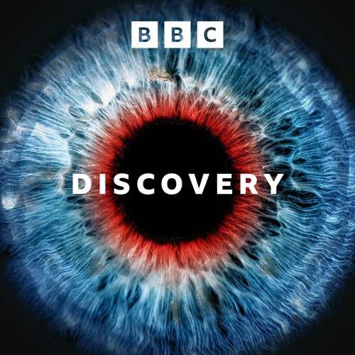 Discovery