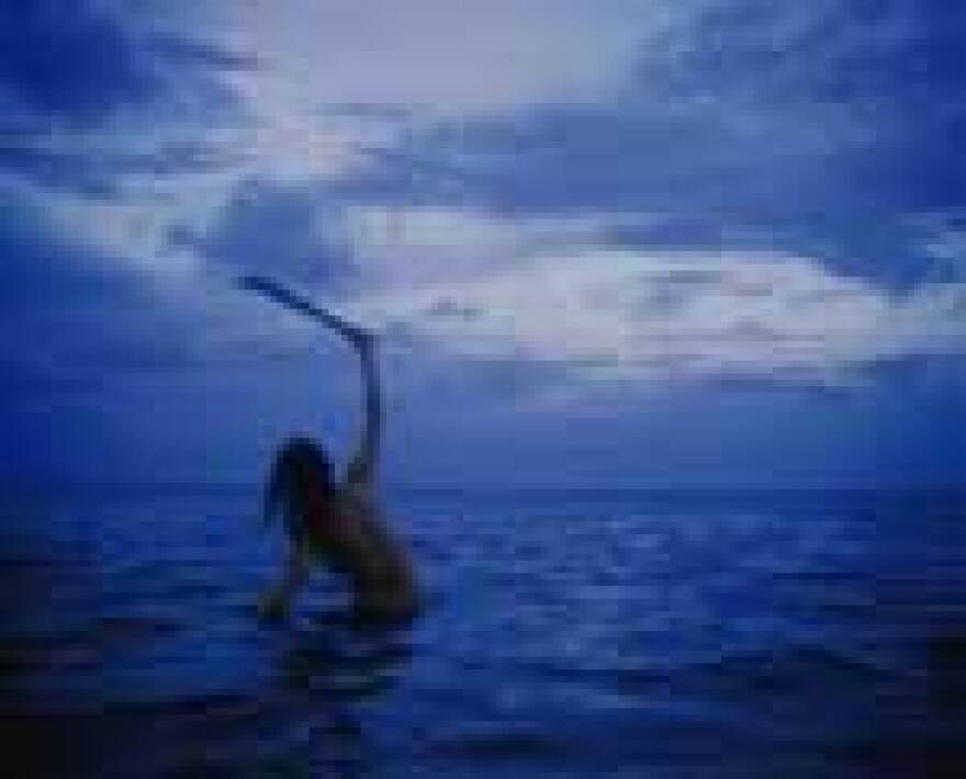 Untitled (ocean), 2004; Cibachrome, 50 x 60 inches; Private collection, Miami