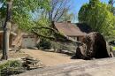 A tree has fallen near a home in Penn Hills.