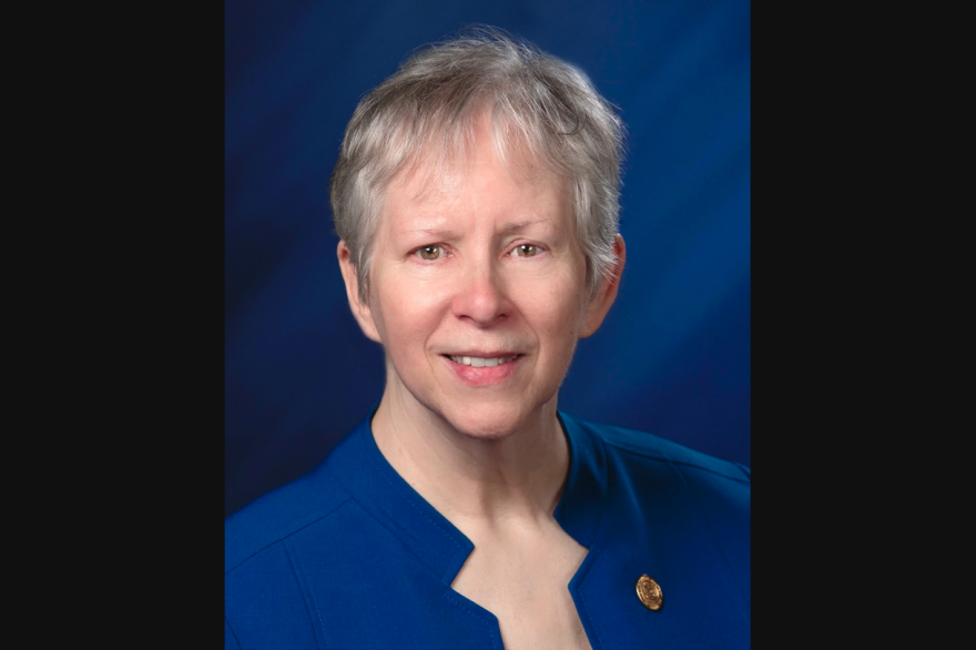 Michigan City Rep. Pat Boy, a Democrat, will be retiring from the legislature after seven years of service.