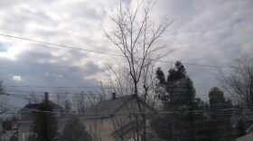 Windy weather whips around trees and power lines