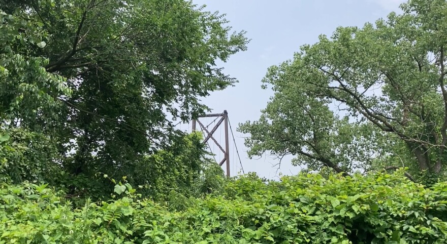 Despite being essentially forgotten to the elements since 1966, Sidaway Bridge is still intact and, to the untrained eye, only appears to have surface rust intermingled with vegetation.