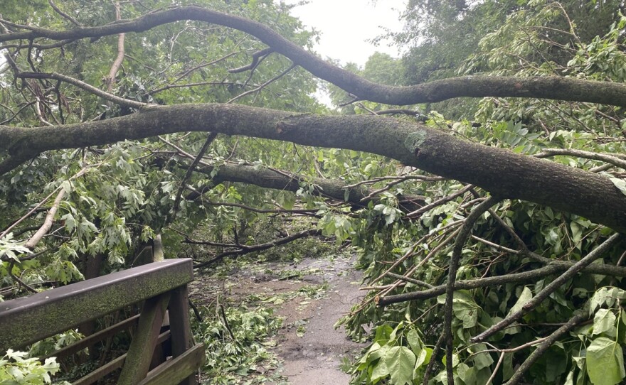 Debris from fallen trees and limbs are stretched across a paved walkway with a pedestrian bridge in the foreground.