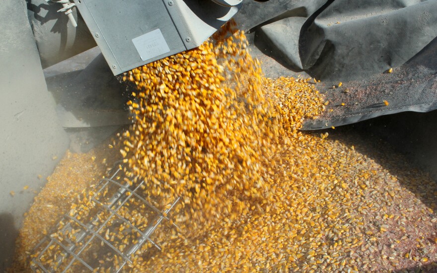030419_GG_Bankruptcy_Grain.jpg