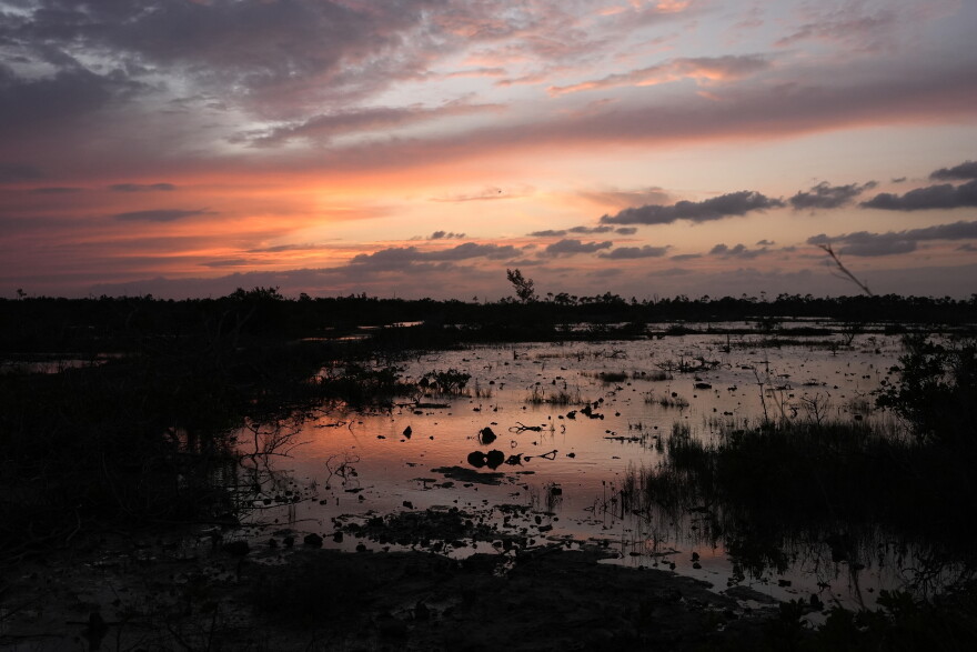 FILE - The sun sets over the marshy wetlands of the Florida Keys, Oct. 17, 2024, in Big Pine Key, Fla.