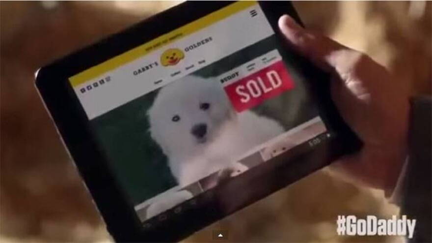 A screen capture of the GoDaddy Super Bowl ad.