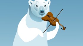 Violinist Polar Bear